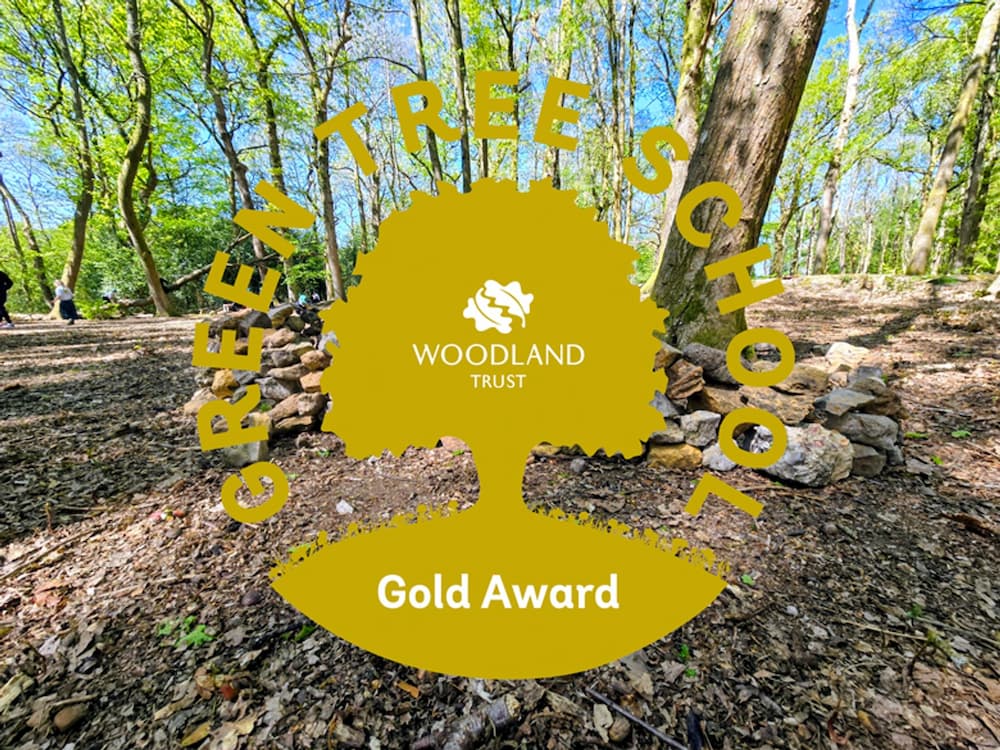 Highfield Achieves Woodland Trust Gold Award in Environmental Recognition
